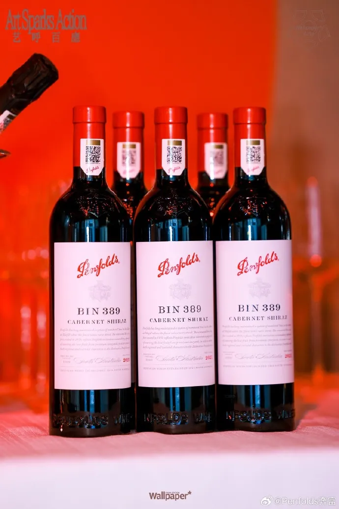 奔富bin389赤霞珠/西拉干红葡萄酒