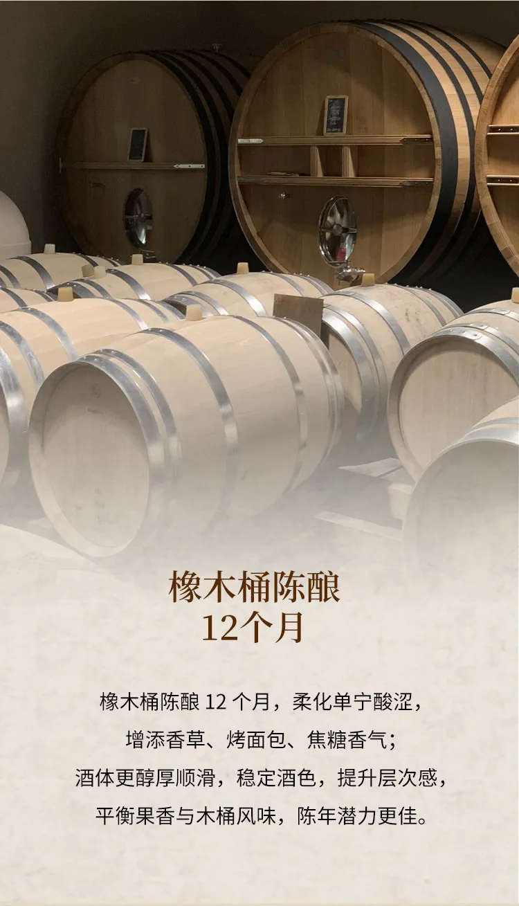 红酒代理