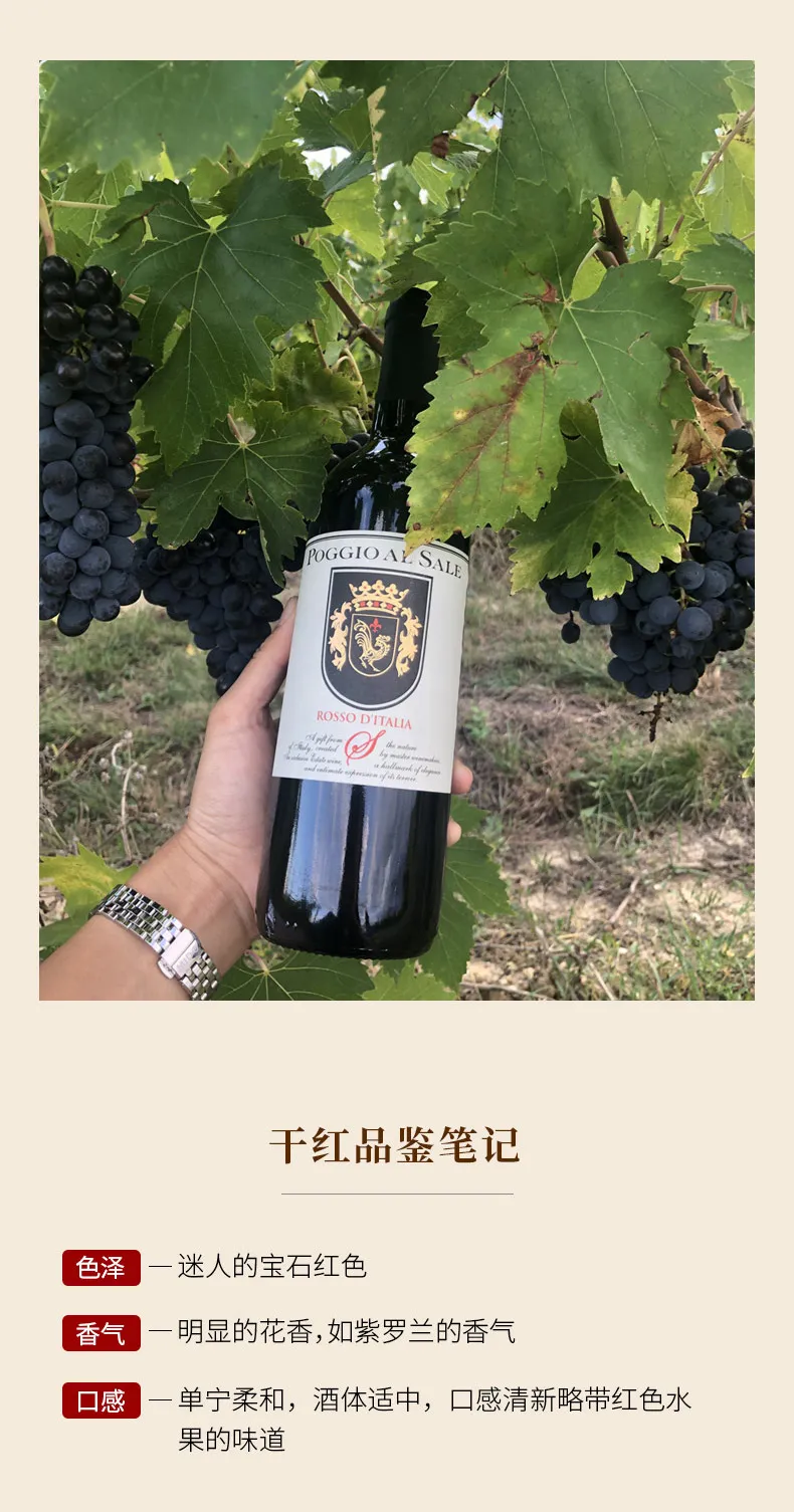 红酒代理